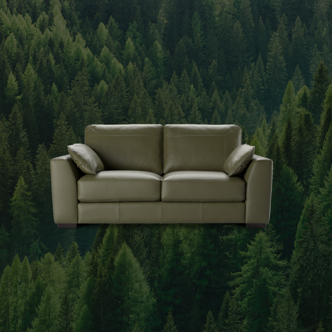 Oregano green sofa