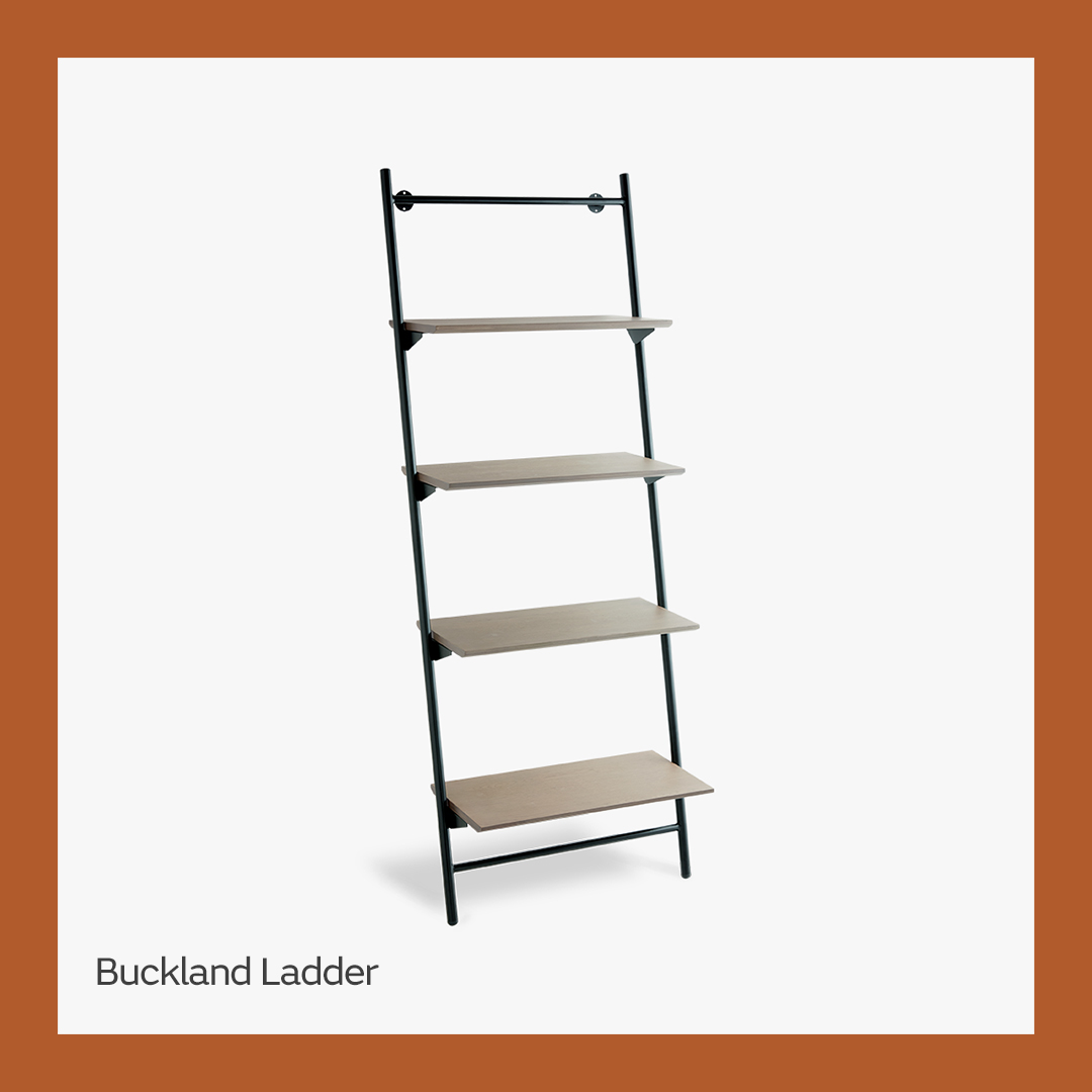 Buckland ladder shelving
